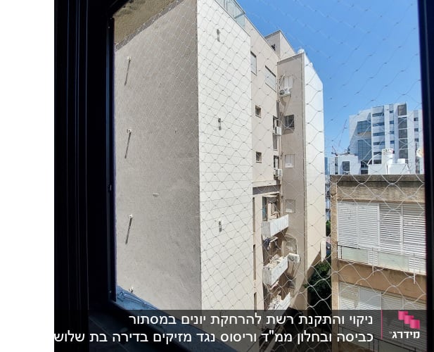 רשת נגד יונים מותקנת על חלון בניין